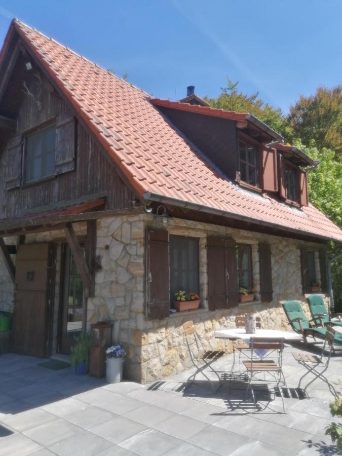 Jagdhaus In Der Rhoen In Voelliger Alleinlage Gersfeld Eksteriør billede
