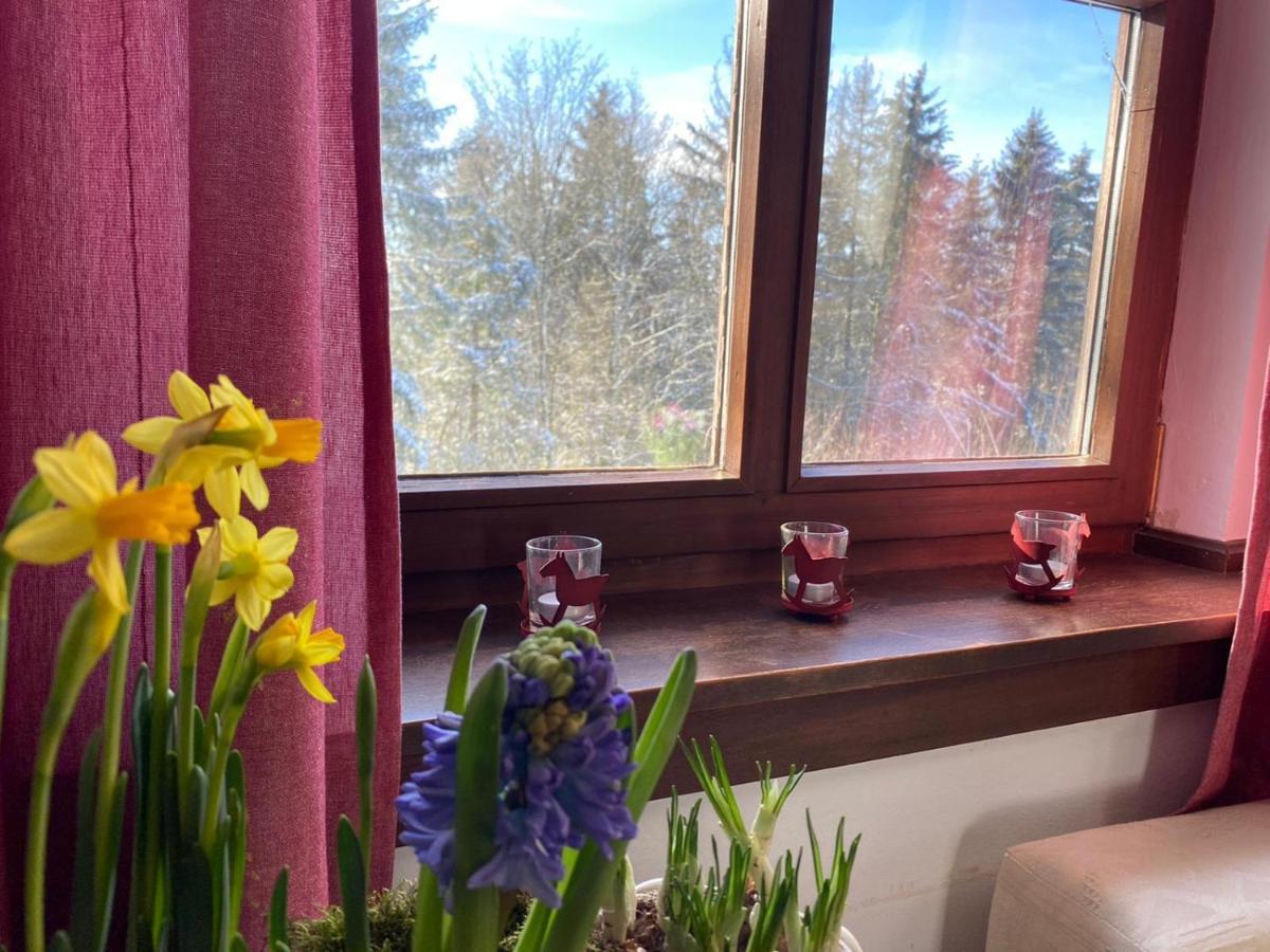Jagdhaus In Der Rhoen In Voelliger Alleinlage Gersfeld Eksteriør billede